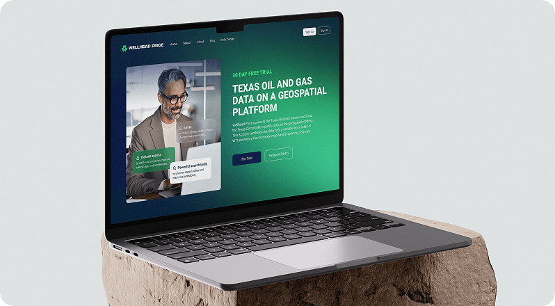Services 9 Website Design Development img