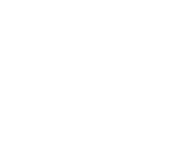 Amplus Icon White 1 1