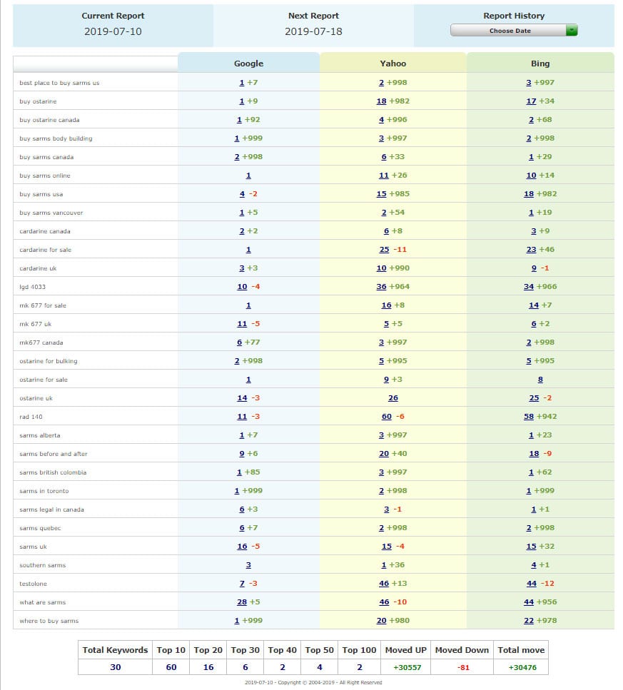 sarmsglobal top2services