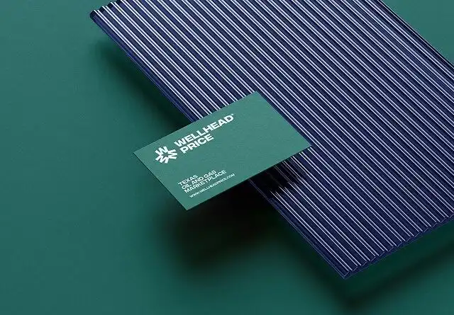 Home 2 branding identity opt